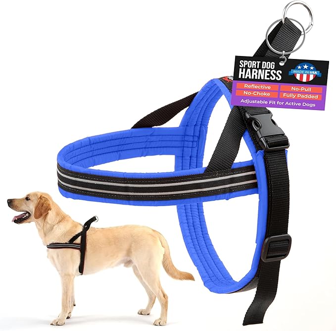 ComfortFlex Sport Dog Harness – No-Choke, Fully Padded, Non-Chafing Harness with Control Handle – Reflective, Lightweight, Adjustable for Active Dogs - Small/Medium, Blue Jay