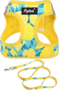 PUPTECK Dog Harness and Leash Set for Small Medium Dogs No Pull Step-in Soft Mesh Puppy Cat Vest Harnesses Reflective at Night, Yellow Lemon, M