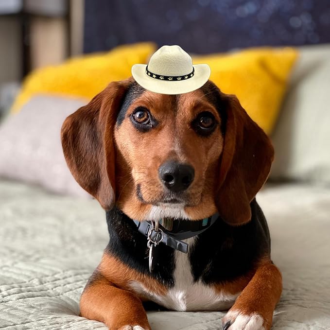 Dog Cowboy Hat Cat Cowboy Hat Pet Cowboy Costume Mini Cowboy Hat for Dogs Cat Holiday Halloween Pet Party Decoration (Beige, Small)