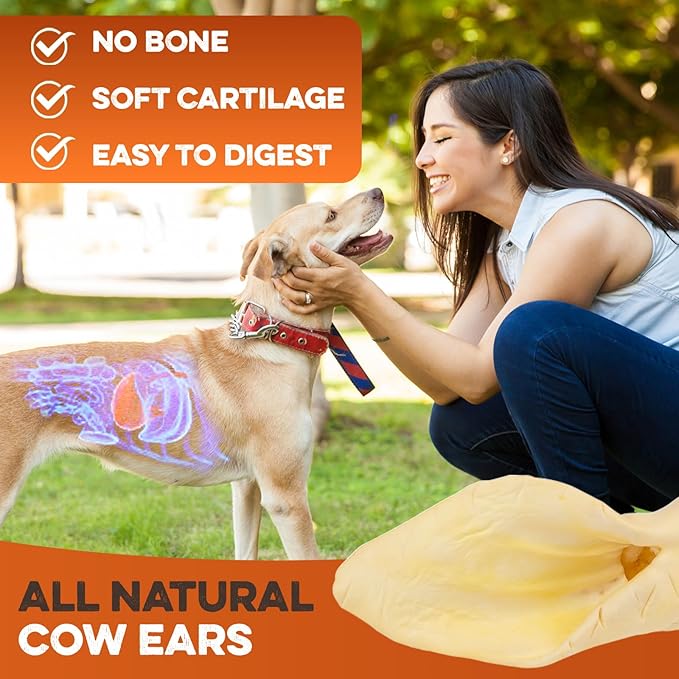 BRUTUS & BARNABY Cow Ears for Dogs – Whole Ears 30 ct, Thick Cut, Grass-Fed Angus Beef, All-Natural No-Rawhide Dog Treat Alternative