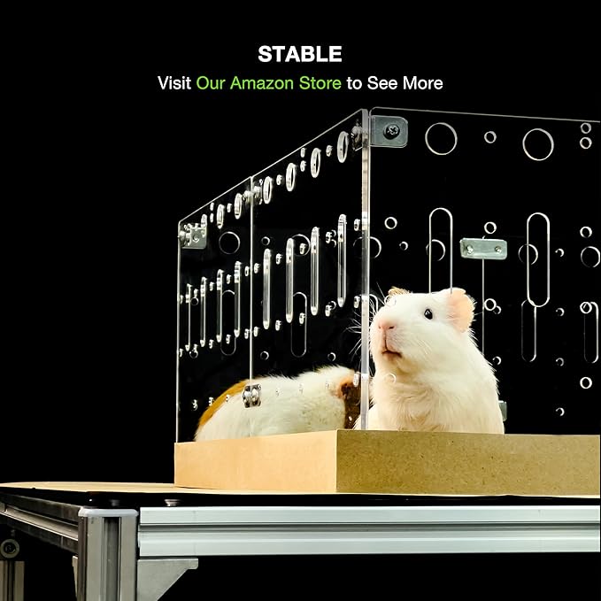 GuineaLoft™ Acrylic Cage (Model-A) - Large 4x2ft Expandable C&C Cage for Guinea Pigs, Rabbits, Button Quails, Hedgehogs, Small Animals that Need Roaming Space - Visit Our Store to See More
