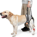 ROZKITCH Dog Lift Harness, Pet Rear Support Aid Veterinarian Approved Sling for Old K9 Help with Poor Stability, Back Leg Hip Disabled Joint Injury Elderly Arthritis ACL Rehabilitation Rehab Grey M