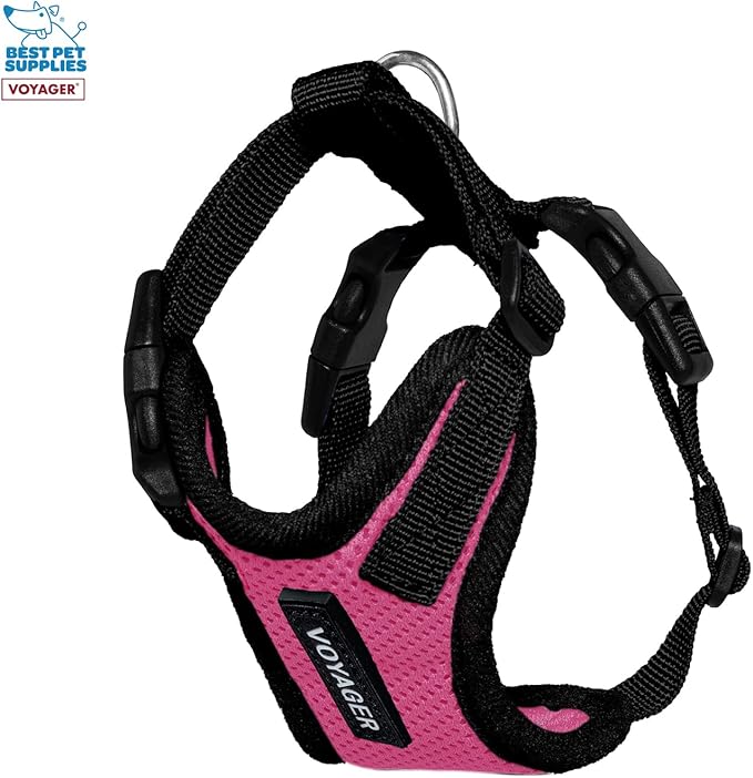 Best Pet Supplies Voyager Step-in Lock Pet Harness w Reflective Pet Leash Combo Set with Neoprene Handle 5ft - Supports Small, Medium and Large Breed Puppies/Cats - Fuchsia/Black Trim, XXS