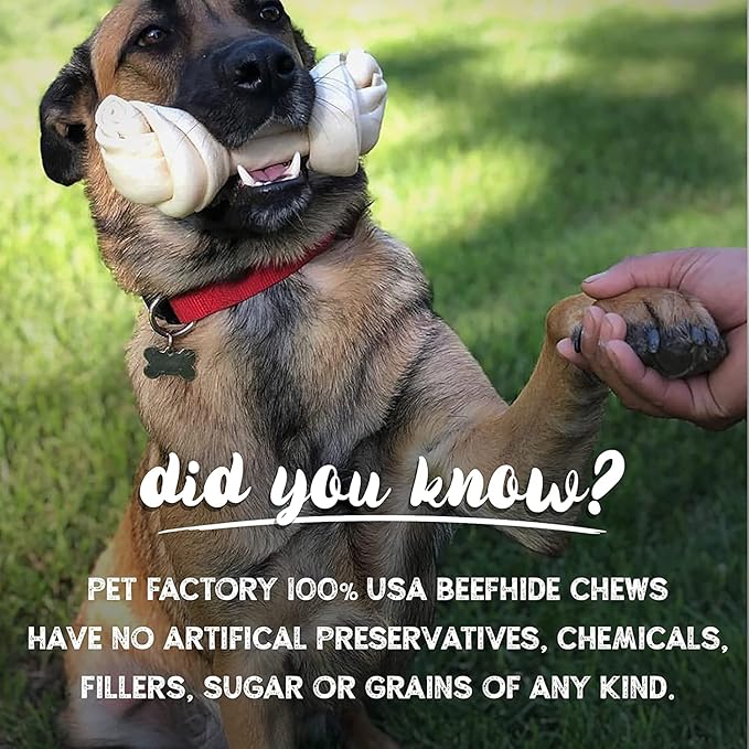 Pet Factory 100% Made in USA Beefhide 4" Knotted Bones Dog Chew Treats - Natural Flavor, 24 Count/1 Pack