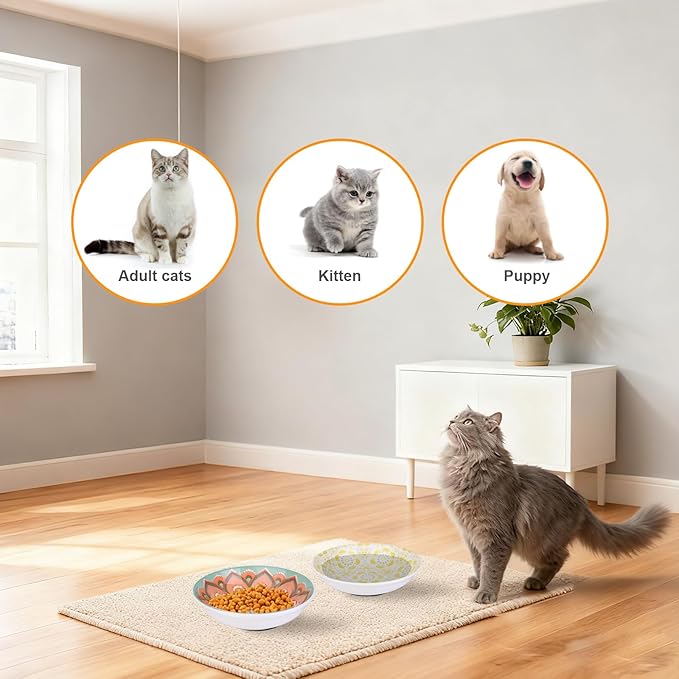HAPPY KIT Ceramic Cat Bowls for Food 2pcs,5.75 inch with Non-Slip Silicone Bottom for Indoor, 8.5oz Cat Dish/Dishes,Wide Shallow Whisker Friendly