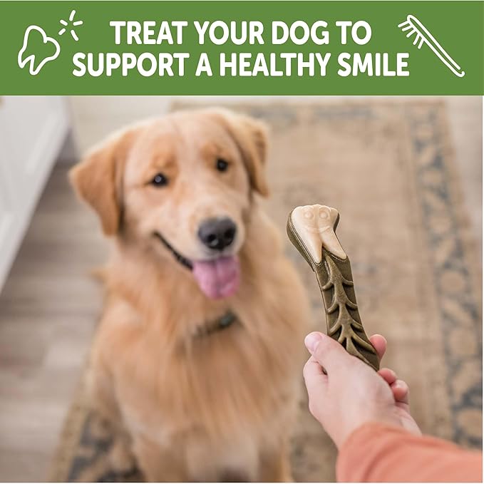Whimzees Wellness Brushzees Dog Dental Treats, Large Size Stick, (6 Count)