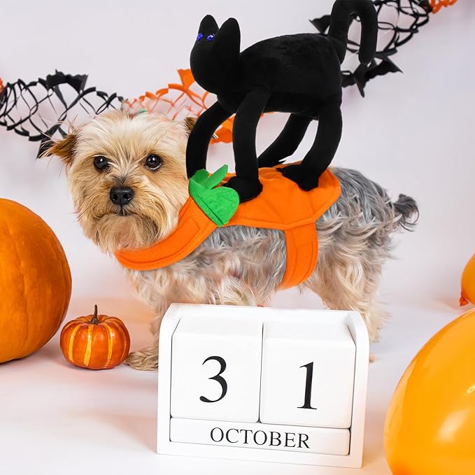 Huhumy Dog Halloween Costume Black Cat Halloween Costume for Dog Funny Riding Horse Pet Clothes for Cat Puppy Cosplay Holiday Party Dress up Accessories(Large)