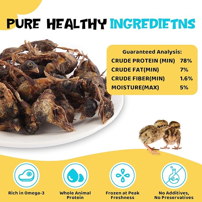 Freeze Dried Quail Treats for Dogs & Cats – Single Ingredient, High Protein Dog Treats, Grain Free, Easy Digestion, Healthy Training Rewards for Dogs & Cats, 3 oz