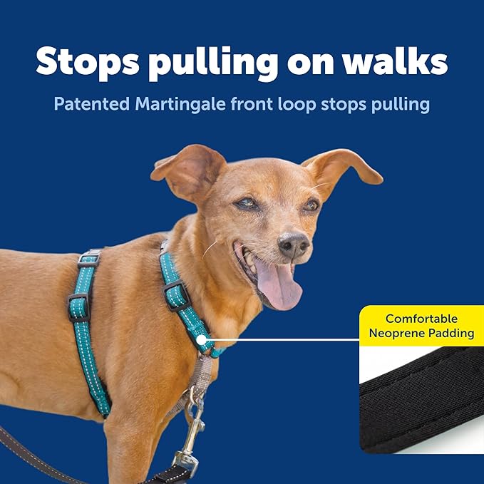 PetSafe 3 in 1 No-Pull Dog Harness for Small Dogs- Walk, Train or Travel - Helps Pets from Pulling on Walks - Seatbelt Loop Doubles as Quick Access Handle - Reflective- Extra Small, Teal