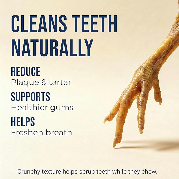 K9warehouse Chicken Feet for Dogs - 30 Count, Dehydrated Chicken Dog Treats, 100% Natural, High Protein, Single Ingredient Chews, Support Dental Health - Ideal for Chewing - USA Company