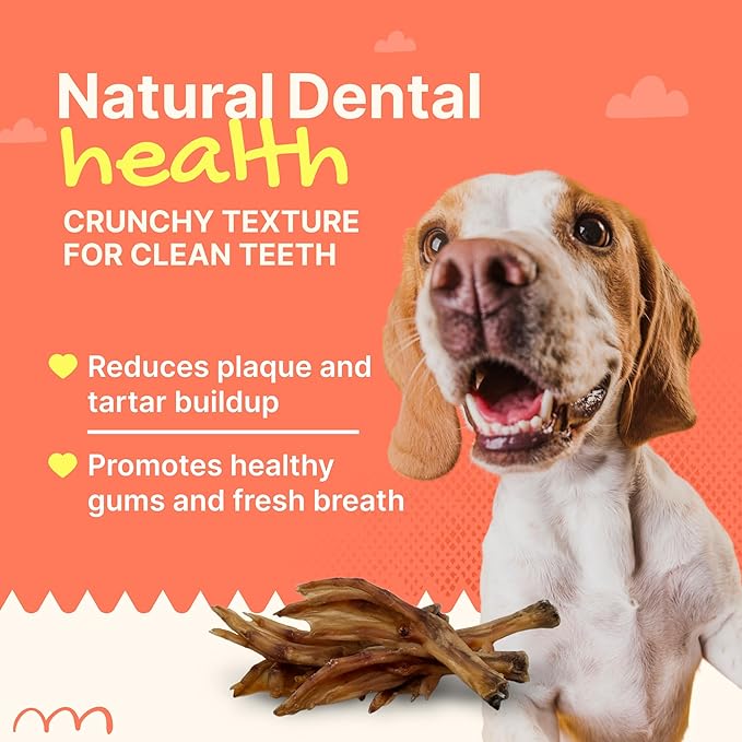 Gaines Pet Duck Feet for Dogs – 80 Count, Natural Chews with Glucosamine, Chondroitin & Collagen – Single Ingredient Dog Treats, Grain-Free, USA Made, Joint & Dental Health Support