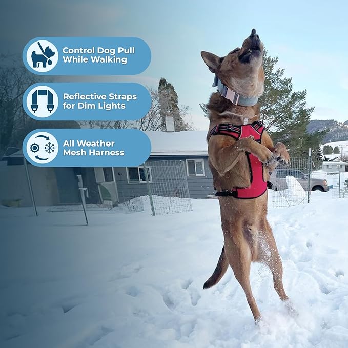 Voyager Dog Harness Dual Leash Attachment No-Pull Control Adjustable Soft but Strong Pet Harness for Medium and Large Dogs with 3M Reflective Technology, Leash Set Red Nylon, S (Chest: 16-20")