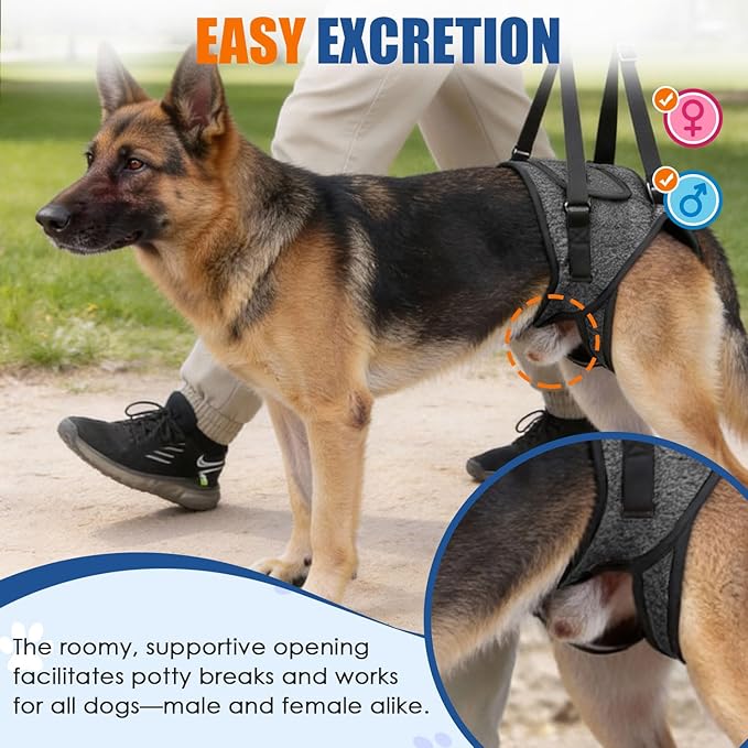 SlowTon Dog Lift Harness - Adjustable Dog Sling for Medium Large Dogs, Hind Leg Support to Help Rehabilitate, Soft Padded Dog Support Harness for Elderly, Injured, Arthritic, Disabled Dogs, L