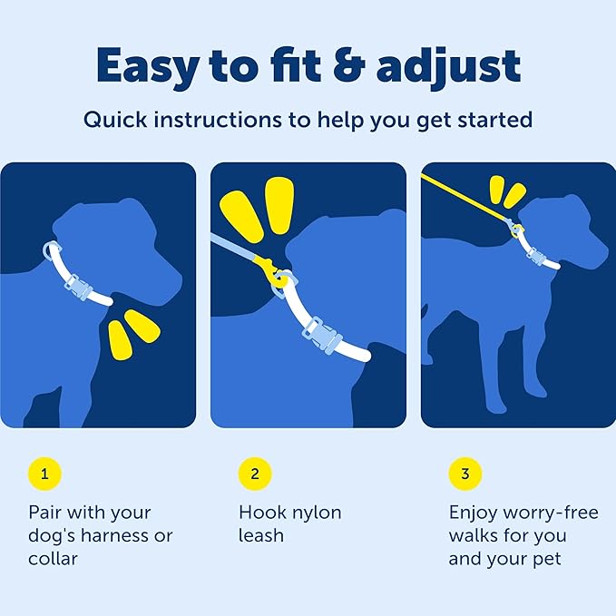 PetSafe Nylon Leash - Durable Cat & Dog Behavioral Training Leash - Compatible with Easy-Walk Harness - Traditional-Style Reliable Pet Lead with a Padded Hand Wrap - 3/8" x 6' - Black