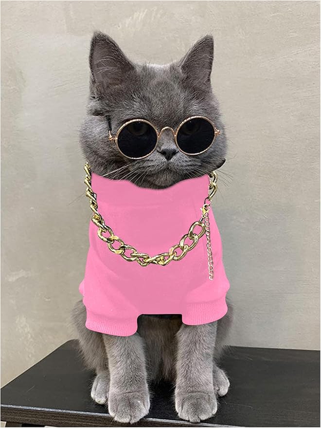 QWINEE 3Pcs Dog Hoodie Cat Apparel Dog Custume Set with Necklace and Sunglasses Pet Clothes for Puppy Small Medium Dogs Cats Light Pink XX-Small