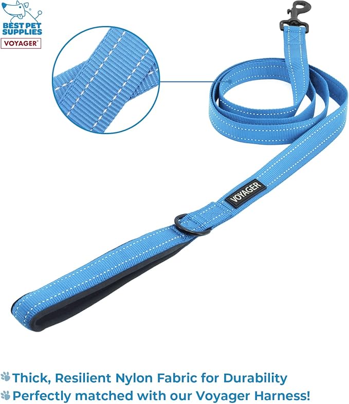 Best Pet Supplies Voyager Step-in Lock Pet Harness w Reflective Pet Leash Combo Set with Neoprene Handle 5ft - Supports Small, Medium and Large Breed Puppies/Cats - Baby Blue Set, XXXS