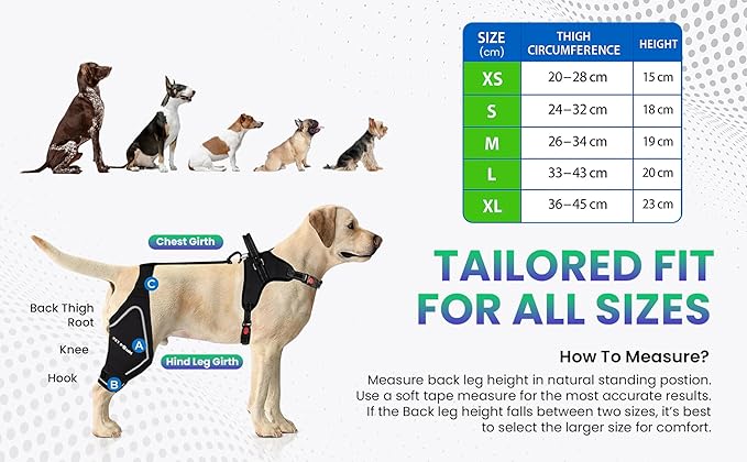 Comfortable Dog Knee Brace for Both Hind Legs with Harness - for ACL Tear, Luxating Patellae, Osteoarthritis & Instability - for Recovery & Injury Prevention in Active/Aging Dogs - (XSmall)