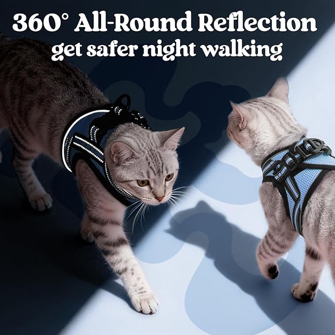 rabbitgoo Cat Harness and Leash Set for Walking Escape Proof, Adjustable Soft Kittens Vest with Reflective Strip for Cats, Comfortable Outdoor Vest, Light Blue, S