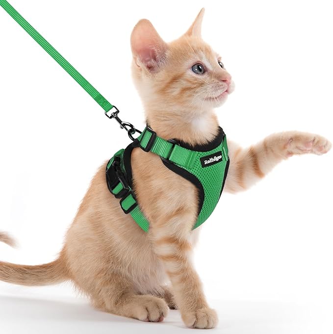 rabbitgoo Cat Harness and Leash for Walking, Escape Proof Soft Adjustable Vest Harnesses for Cats, Easy Control Breathable Reflective Strips Jacket, Grass Green, XXS