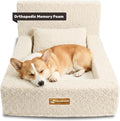 Pelsbarn Real Orthopedic Dog Bed, High-Density Memory Foam with Waterproof Fitted Sheets - Machine Washable, Medium, Beige