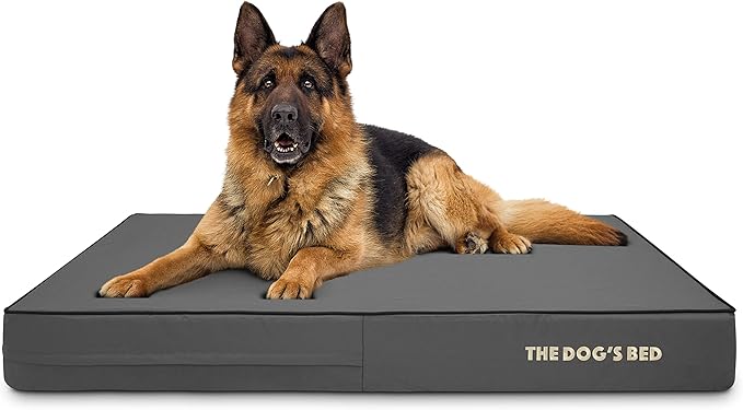The Dog’s Bed Orthopedic Memory Foam Dog Bed for XL Dogs, Waterproof Washable Cover, Anti-Slip Base, Calming Surface – CertiPUR-Certified Foam, Grey with Black Trim, 6 Inch Thick