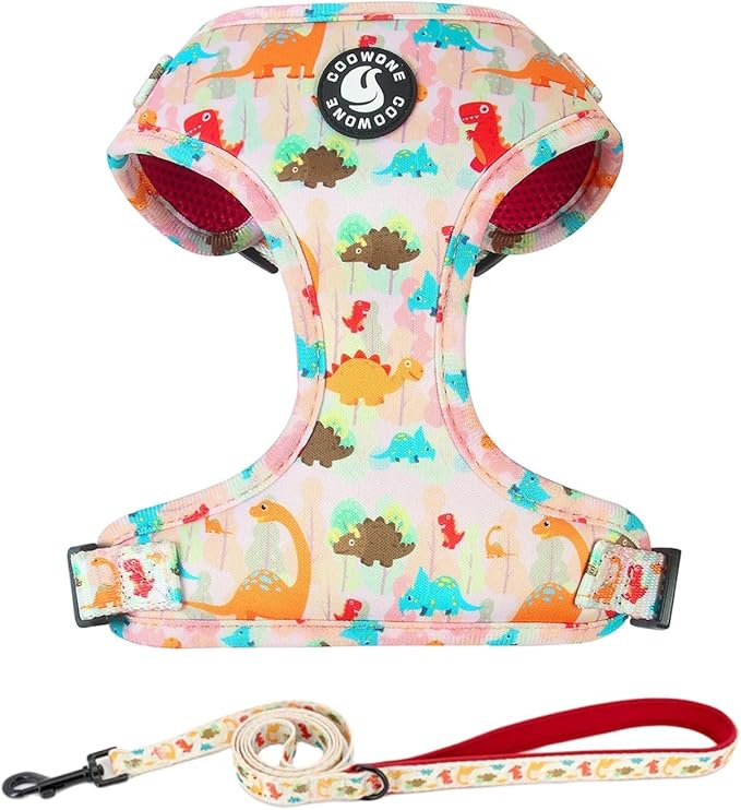 Adjustable Dog Harness and Leash Set for Girl Air Mesh Dog Vest Harness 5Ft Pet Training Leash with Soft Handle Pet Escape Proof for Small Medium Large Dogs (Dinosaur, M)