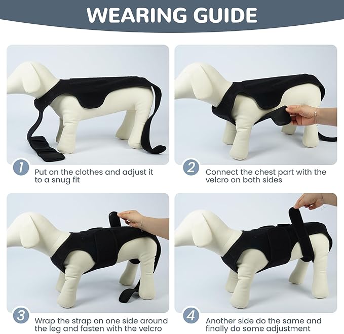 Dog Back Brace for IVDD & Spinal Recovery, Adjustable Breathable Support Vest Dog Lumbar Protector Helps Pain Relief, Pet Surgical Suit for Back Disease Prevention, Black S