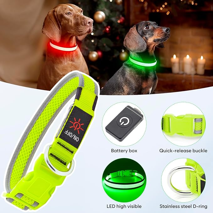 Flashseen LED Dog Collar, Light Up Dog Collar USB Rechargeable, Brightest Dog Lights for Night Walking, Adjustable Dog Collar Light for Dog Safety (Green, Small)