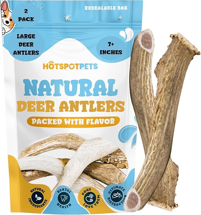 hotspot pets Premium Deer Antlers for Dogs - 7+ Inch Large Antler Dog Chews (2 Pack) Made in USA - Naturally Shed Antler Bone for Large Breed Aggressive Chewers - Promotes Dental Hygiene