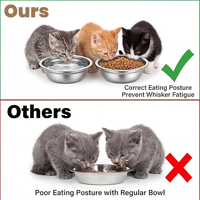 30 Pcs Stainless Steel Cat Bowls Bulk, 6.1 Inch Metal Basic Cat Bowl Whisker Friendly Thickened Replacement Elevated Food Water Bowls for Small Medium Large Dogs, Cats