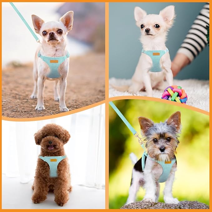 SlowTon Dog Harness Small Sized Dog - Soft XXS Dog Harness and Leash Set No Pull No Chock, Adjustable Lightweight Puppy Harness for XS Small Medium Dogs Cats (Solid Light Blue, XXS)