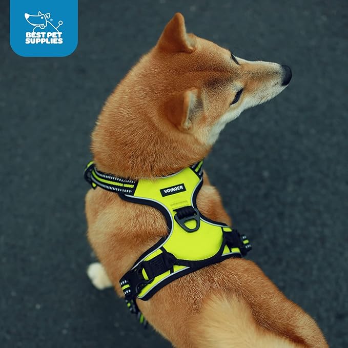 Voyager Dog Harness Dual Leash Attachment No-Pull Control Adjustable Soft but Strong Pet Harness for Medium and Large Dogs with 3M Reflective Technology - Turquoise, M (Chest: 20-25") (Pack of 3)