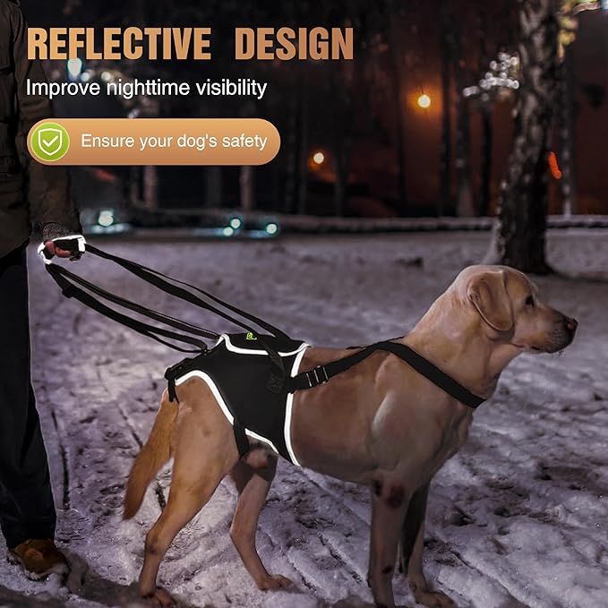 Dog Lift Harness for Large Dogs, Hind Leg Support Sling for Mobility Assistance, Helps with Muscle Weakness & Joint Issues, Assists Walking and Balance, Size L