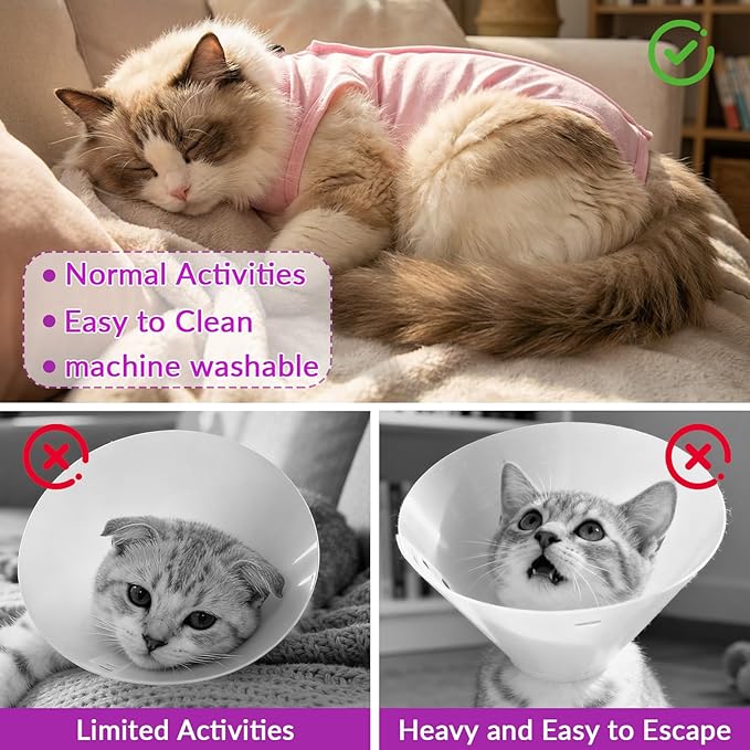 Cat Surgery Recovery Suit Female Medium, Kitten Onesie Bodysuit for Cat After Surgery, Cone of Shame Alternative Suit for Cat Anti Licking Spay Abdominal Wounds Skin Diseases Protection (Pink,M)