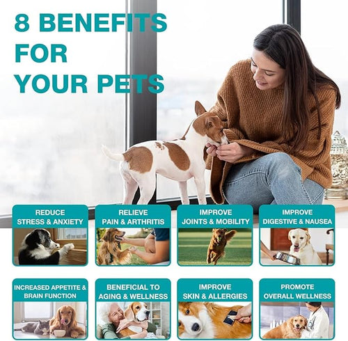 2 Packs Pet Hemp Oil for Dogs and Cats- Anxiety, Stress Pain Holistic Inflammation Relief - for Joint Hip Аrthritis, Calming Oil Drop, Organic Pets Treats