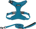 Best Pet Supplies Voyager Step-in Lock Pet Harness w Reflective Pet Leash Combo Set with Neoprene Handle 5ft - Supports Small, Medium and Large Breed Puppies/Cats - Turquoise Set, M