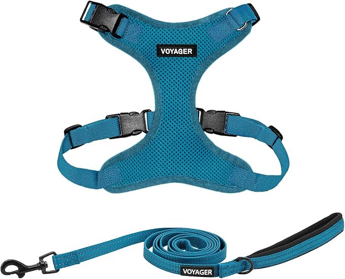 Best Pet Supplies Voyager Step-in Lock Pet Harness w Reflective Pet Leash Combo Set with Neoprene Handle 5ft - Supports Small, Medium and Large Breed Puppies/Cats - Turquoise Set, M