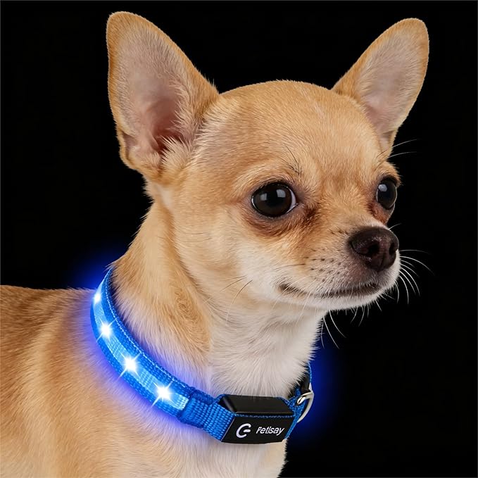 LED Dog Collar for XSmall Dogs & Toy Breeds – USB-C Rechargeable Light Up Dog Collar, Fully Waterproof Adjustable Glow Collar for Night Walking & Safety(Blue,XS)