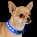 LED Dog Collar for XSmall Dogs & Toy Breeds – USB-C Rechargeable Light Up Dog Collar, Fully Waterproof Adjustable Glow Collar for Night Walking & Safety(Blue,XS)