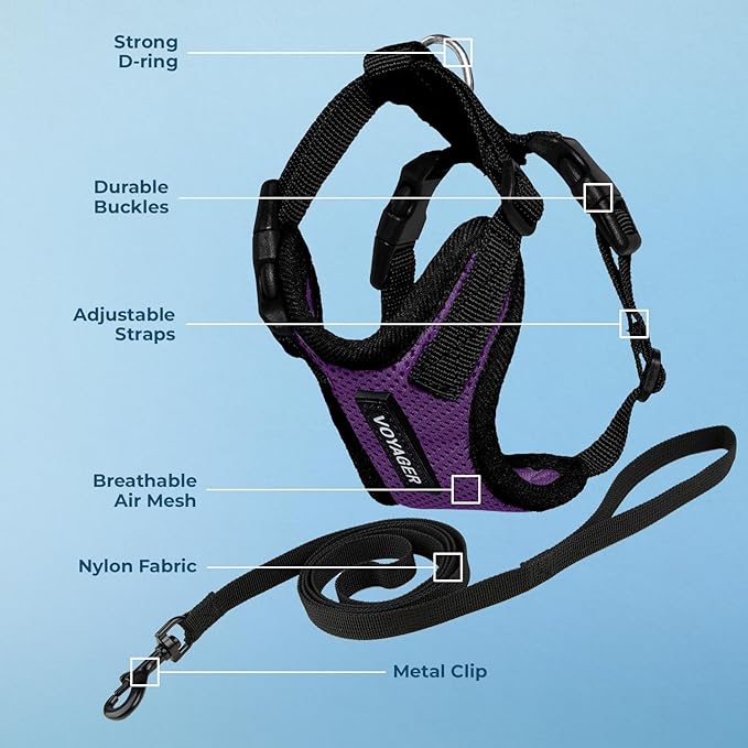 Voyager Escape-Proof Step-in Lock Cat Harness & 5ft Neoprene-Handle Leash Set All-Weather Mesh with Reflective Stitching for Small to Large Cats by Best Pet Supplies, Purple/Black Trim, XXXS