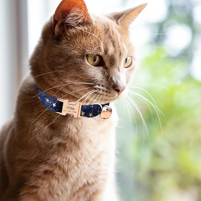 Personalized Non-Breakaway Cat Collar with Name, Luxury Soft Velvet Custom Engraved Name Collar with Bell for Kittens & Cats (Blue with Stars, L (7.5-12.5 inches))