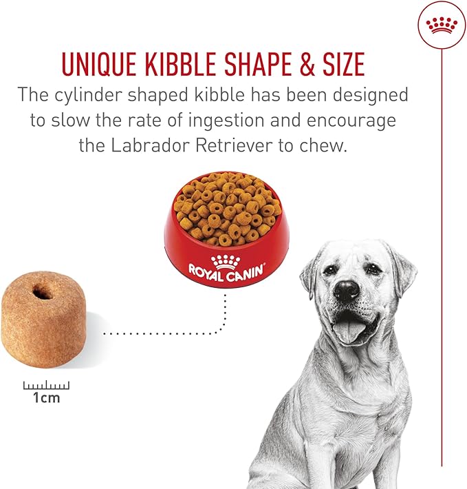 Royal Canin Breed Health Nutrition Labrador Retriever Adult Dry Dog Food, 5 lb Bag