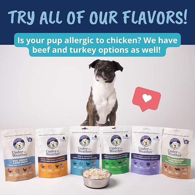 Under the Weather Easy to Digest Bland Diet for Sick Dogs - Always Be Ready - Contains Electrolytes - Gluten Free, All Natural, Freeze Dried 100% Human Grade Meats - 6 Pack Chicken, Rice & Bone Broth