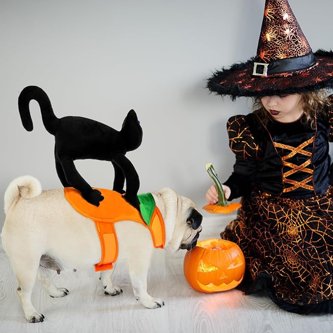 Huhumy Dog Halloween Costume Black Cat Halloween Costume for Dog Funny Riding Horse Pet Clothes for Cat Puppy Cosplay Holiday Party Dress up Accessories(Large)