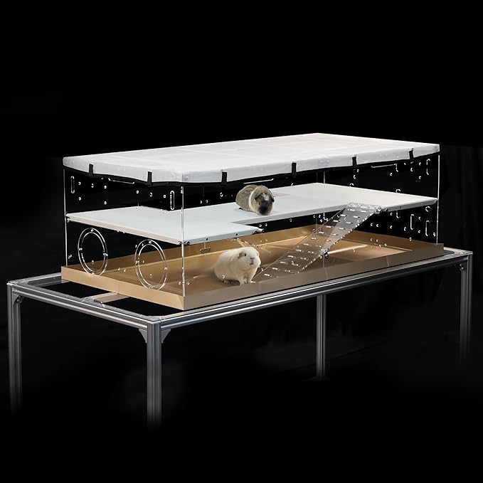 GuineaLoft™ Model-A3 Acrylic 2-Tier Cage (48"x24"x16") - Luxury Loft Habitat with 2nd Floor & Ramps - Clear Escape-Proof Enclosure for Guinea Pigs - Includes Ventilated Cover & Disposable Bottoms