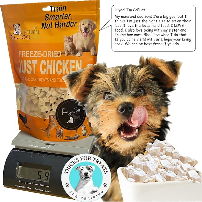 Freeze Dried Super Booster Chicken Bites for Dogs and Cats | Grain-Free, Protein-Packed Training Treats, Great Food Topper, Irresistible for Picky Eaters (5.1 oz (~145g), Just Chicken (Large Pack))