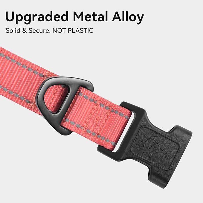 Joytale Reflective Dog Collar, Soft Neoprene Padded, Metal D-Ring, Nylon Pet Collar Adjustable for Puppy and Small Dogs, Neon Pink, XS