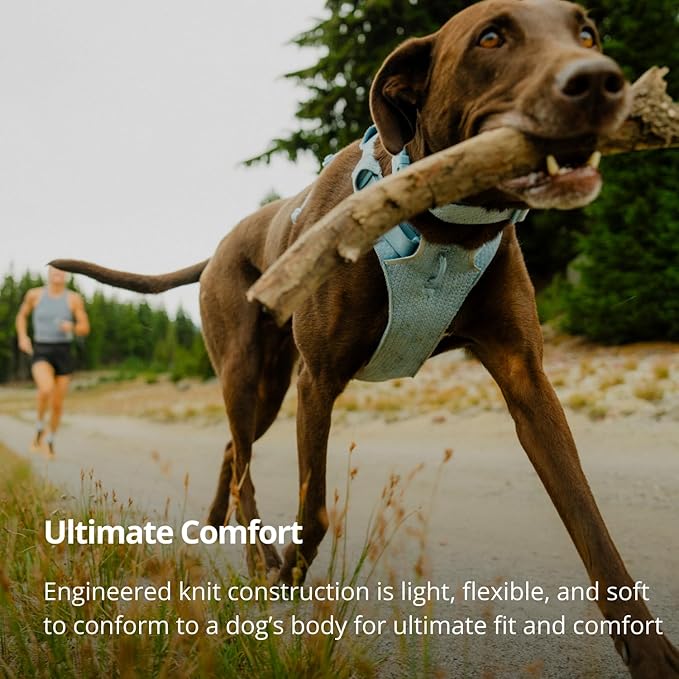 Ruffwear, Front Range Flex Dog Harness, Engineered Knit Construction for Ultimate Fit and Mobility, Lightweight Flexible Everyday Harness with Dual Leash Clips, Basalt Gray, Large/X-Large
