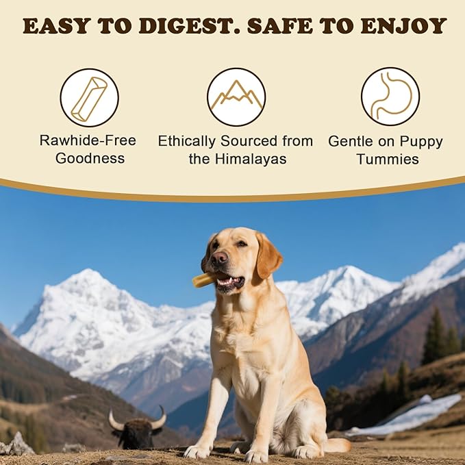 Yak Cheese Dog Chews – Long Lasting Hard Chew for Aggressive Chewers, 3-Ingredient Natural Dog Treats – High Protein, Odor-Free, Rawhide-Free for Large Dogs (Large - 4 Chews)