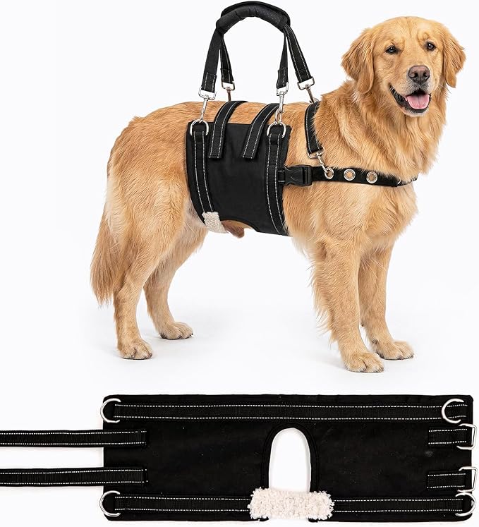 CWV Adjustable Male Dog Lift Harness for Large Dogs, Soft and Portable Dog Dling for Large Dogs Hind Leg Support,Help em up Harness for Senior, Injured, Disabled and After Surgery Dogs, Large
